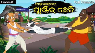 ChhadaKhaire Plastic Chheli Chhadakhai  Plastic goat  Goat Comedy Odia Gapa Funny goat [upl. by Jecon]