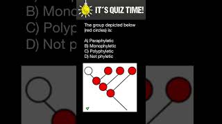 Monophyletic Paraphyletic Polyphyletic groups [upl. by Narrat]