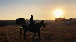 Camp Claude  Horses Audio [upl. by Naryt]