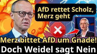 Friedrich Merz wird von Weidel klar abgelehnt Scholz bleibt Merz muss gehen [upl. by Grath]