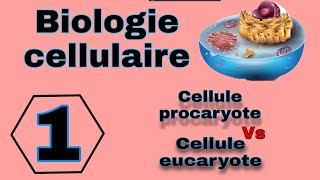 شرح بالدارجة لأول درس في Biologie cellulaire L1 Snv s1 بيولوجيا الخليةسنة الأولى تخصص بيولوجي [upl. by Nagn]