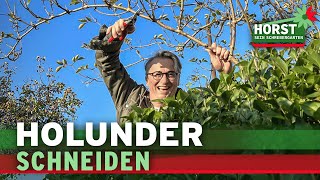 Wie und wann schneidet man Holunder  Horst sein Schrebergarten [upl. by Attiuqehs]