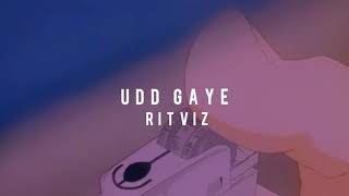 Udd gaye  ritviz  slowed  reverb [upl. by Neiviv198]