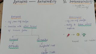 Antigens vs Immunogens vs Haptens  Immunology by Anandita Jha  Antigenicity And Immunogenicity [upl. by Sapphera]