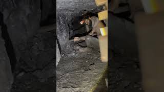 Coal Workers  Underground Mining ⛏️  Miners  Mines  Coal  Safety miners coalmining mining [upl. by Reidar]