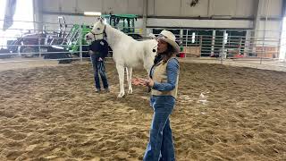 Idaho Horse Expo  Horse Chakra Alignment [upl. by Lotsyrk41]