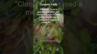 Elizabeth Taylor Affair with Richard Burton 1962 Celebrity Facts [upl. by Meelak]