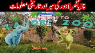 Interesting Information About Lahore ZooSafari Park Lahore HistoryLahore Zoo Chiriya Ghar Lahore [upl. by Efeek415]