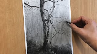 Twisted Branches Charcoal Drawing [upl. by Maram]