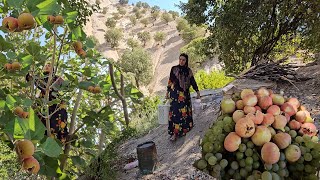 summer in the villageOn a hot summer day Narges goes to her fathers garden to pick grapes and figs [upl. by Marty65]