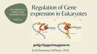 Gene regulation in Eukaryotes  CBMP  Part 14  Tamil [upl. by Acsisnarf440]