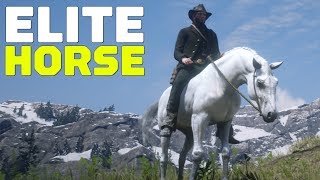 Red Dead Redemption 2 How to Find and Tame an Elite Arabian Horse [upl. by Aviv]