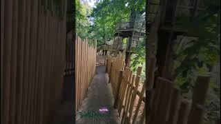 BeWILDerwood Adventure Park POV shorts theobeanie [upl. by Beuthel]