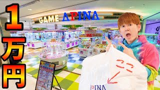 「1万円」クレーンゲーム❕アピナ「MEGAドン・キホーテ成増店」５階にあるゲームセンターがグランドオープン！さとちん [upl. by Hamrnand]