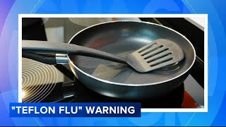 What is Teflon flu [upl. by Stich]