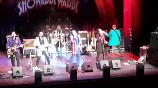 Showaddywaddy  The Party  Live in Glasgow 29062024 [upl. by Alliscirp486]