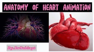 Anatomy of Heart Pericardium [upl. by Halstead]