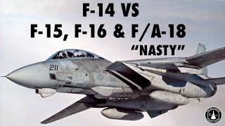 F14 vs F15 F16 amp FA18  Mike quotNastyquot Manazir Full [upl. by Airitak]