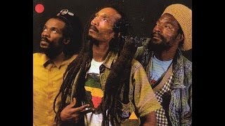 ISRAEL VIBRATION  Discriminatory Dub Forever [upl. by Stanfill]