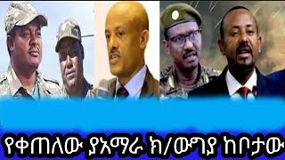 የሼበሌ ቲዩብ መረጀዎች 7 November 2024 [upl. by Maggio]