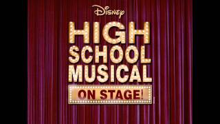 Were All In This Together INSTRUMENTAL  Stage Song High School Musical [upl. by Akfir34]