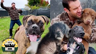 Rescuing 9 adorable dogs from the crowded shelter  The Asher House [upl. by Halilad]