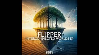 Flipper  Jungle Takes You CODERCRDS035 [upl. by Ahtnamas]