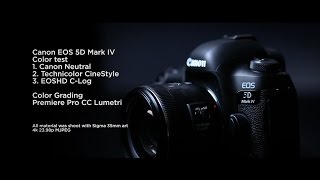 Canon EOS 5D Mark IV video color test Cinestyle vs EOSHD [upl. by Duncan785]