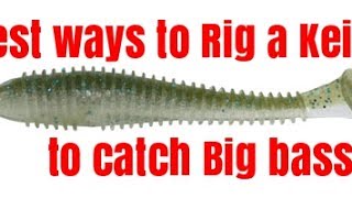 WDDPU Best ways to Rig Keitech Fat Impacts for Big Bass [upl. by Benildas]