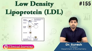 155 Low Density Lipoprotein LDL [upl. by Gatias]