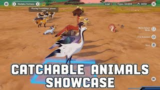 CATCHABLE ANIMALS SHOWCASE [upl. by Ybbob]