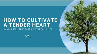 How to cultivate a tender heart Part 1 of 3 [upl. by Saxe]