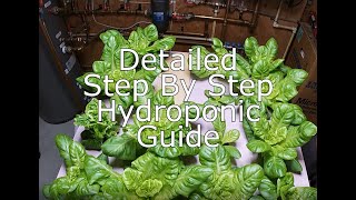 Growing Hydroponic Romaine Lettuce  Hydroponic Journey Part 1 [upl. by Alamac]