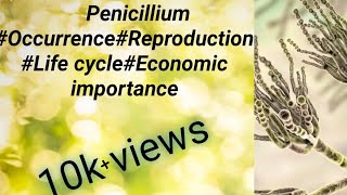 PenicilliumOccurrenceStructureReproductionLife cycle and economic importance of Penicillium [upl. by Cichocki521]