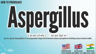 Aspergillus Pronunciation  How to Pronounce say Aspergillus CORRECTLY  Medical Meaning [upl. by Haisoj]