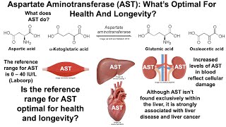 Aspartate Aminotransferase Whats Optimal And Can It Be Improved [upl. by Lochner]