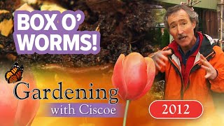 BOX O’ WORMS Tips to Make Your Own Compost  Gardening With Ciscoe  Full Episode [upl. by Enajharas]