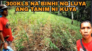 LUYA FARMING I BUHAY BUKID [upl. by Torray]