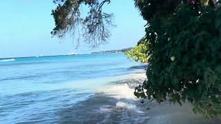 Fitts Village near Holetown Barbados idyllic Paradise secluded Beach walk along [upl. by Laux]