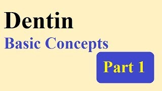 Dentin part 1 BASIC CONCEPTS [upl. by Ettesil]