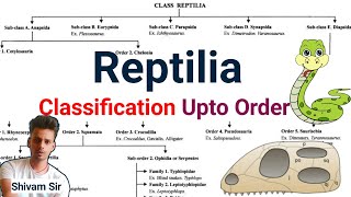 Class  6  Classification Of Reptiles Class Reptilia Classification Upto Order  By Shivam sir [upl. by Atniuq792]