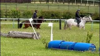 Finbar  on the sand gallop first time [upl. by Aneerak]