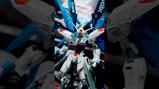 My 1st MG vs my best MG so far gunpla gundam wingzero freedomgundam [upl. by Lunette255]