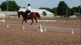 Western Dressage Arabian style [upl. by Brendon]