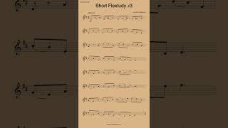 Short Flextudy 3 [upl. by Cuttie]