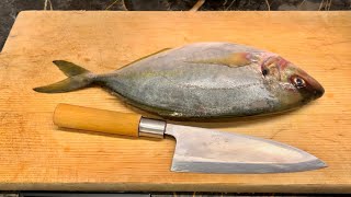 How to Fillet Striped jack fish Shima Aji [upl. by Eremahs]