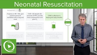 Neonatal Resuscitation Overview amp Apgar Score – Pediatrics  Lecturio [upl. by Theone]