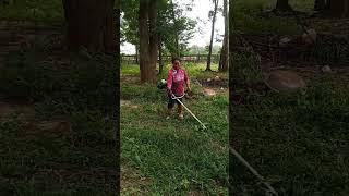 my aunt cutting grass 🌱🌱🌱shorts trending farmer grass viralvideo foryou shortsviral [upl. by Itsirhc186]