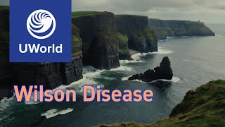 Wilson Disease vs Hemochromatosis vs Porphyria UWorld Notes USMLE USMLE Step 1 [upl. by Salema]