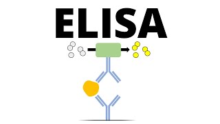 ELISA Enzymelinked Immunosorbent Assay [upl. by Fachini904]